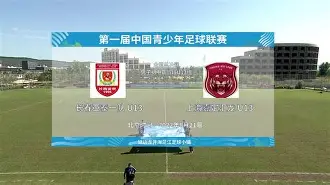 模拟器试玩-重庆当代劲敌浙江绿城，将上演激烈对抗的简单介绍